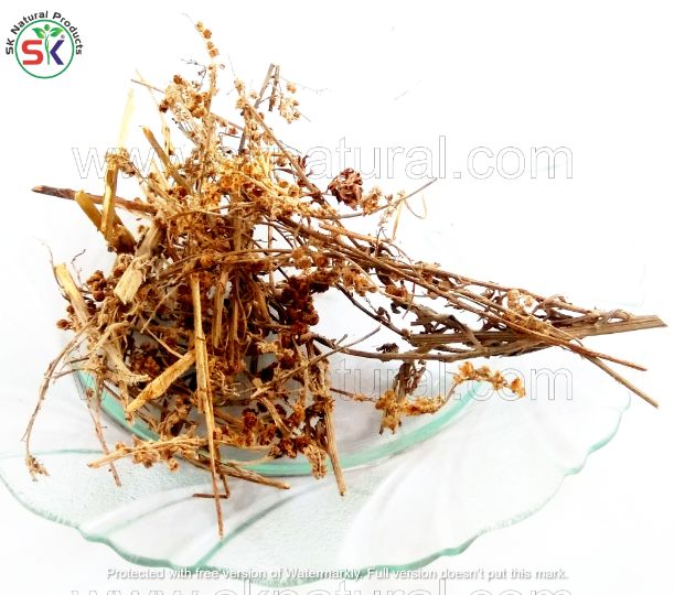 Afsanteen | (100gm) | افسنتین