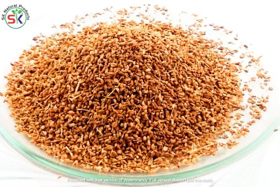 Ajwain Desi (100gm) اجوائن دیسی