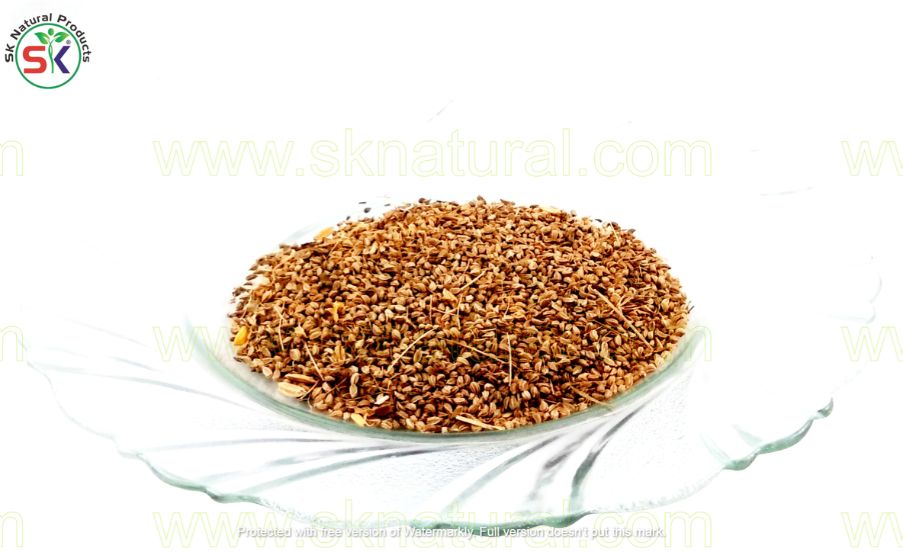 Anesu | انیسوں