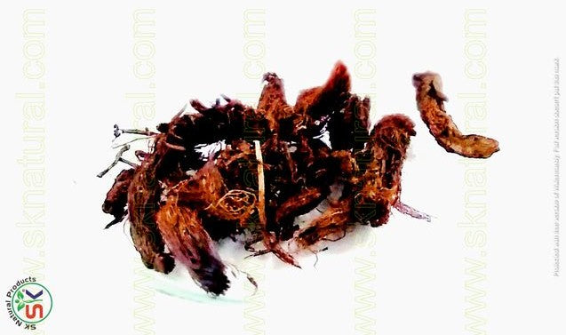 Balchar بالچر