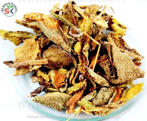 Gurmar Booti (100GM)گڑمار بوٹی