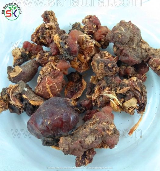 GOND MOCHRAS (100GM) گوند موچرس