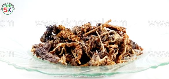 Istakhdus | (100gm) | اسطخدوس