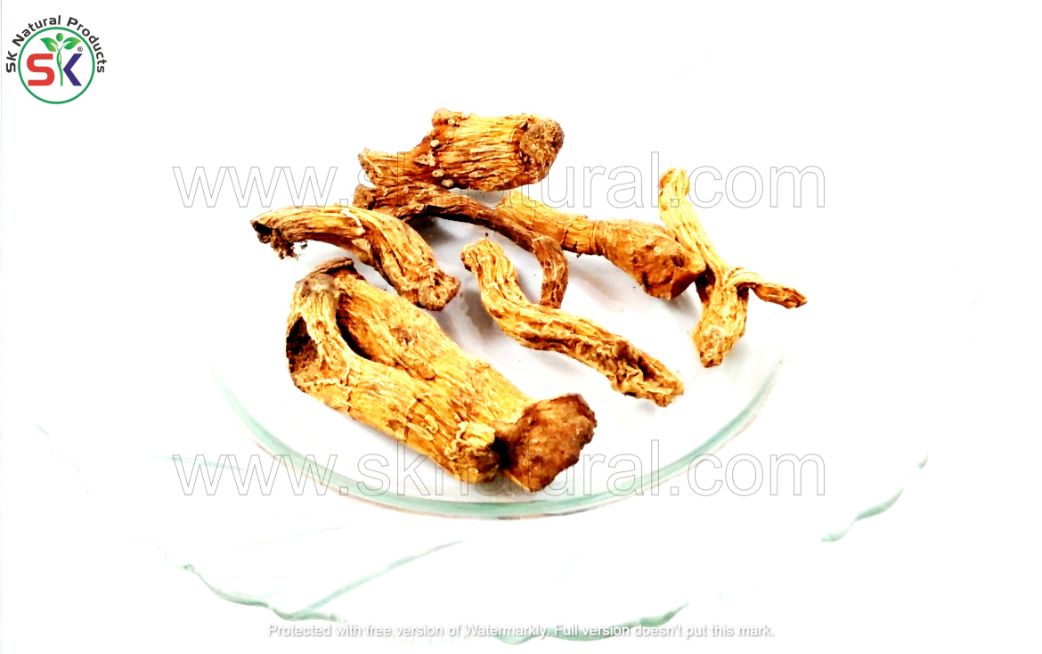 Shakakal Misri (100gm) ثقاقل مصری