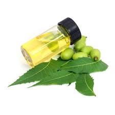ORGANIC INDIAN LILAC OIL (60ml) روغن نیم