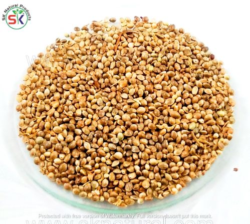 Tukham Bhang (100gm) تخم بھنگ