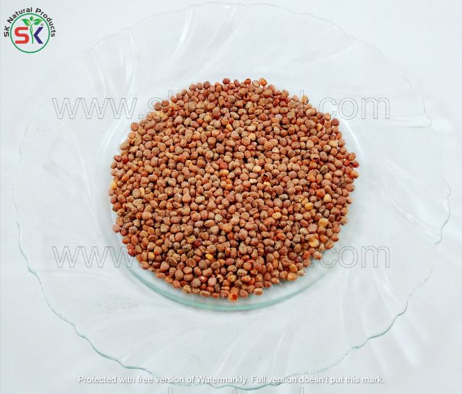 Tukham Moli (100gm) تخم مولی