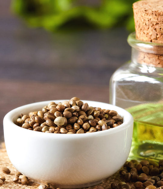 HEMPSEED OIL (15ml) روغن بھنگ