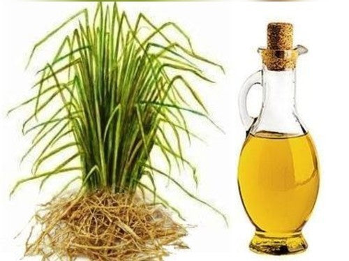 VETIVERT OIL (15ml) روغن خس