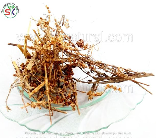 Afsanteen | (100gm) | افسنتین