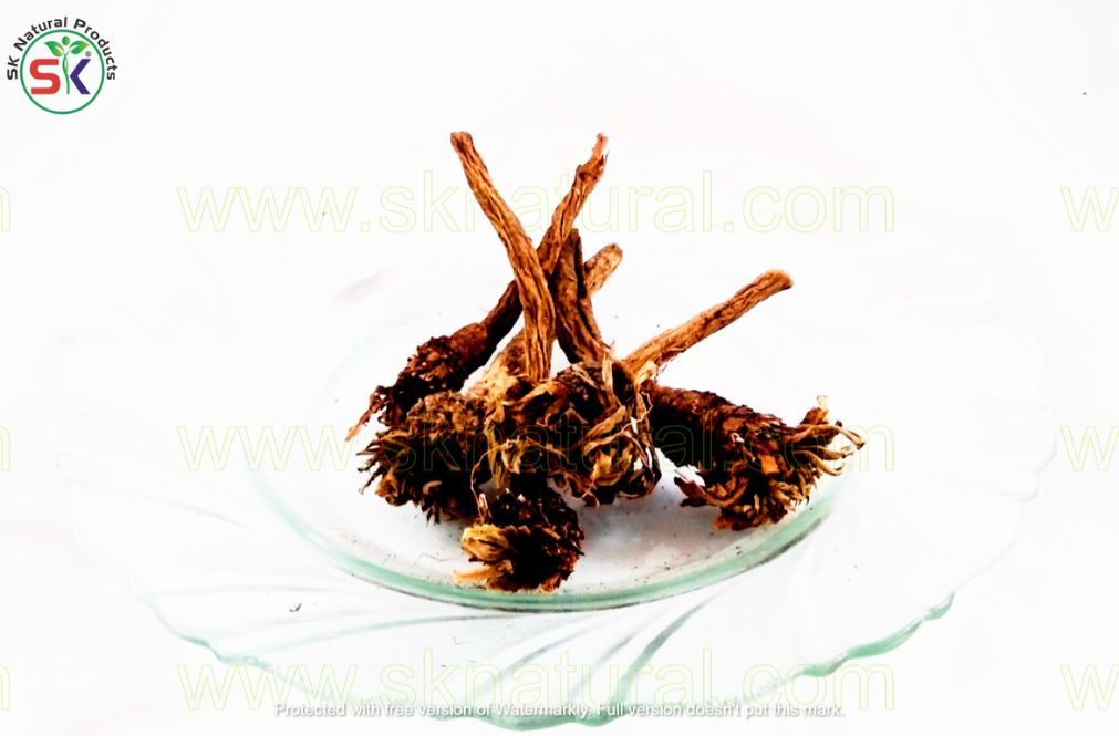 AQR QARHA | (20gm) | عقرقرحا