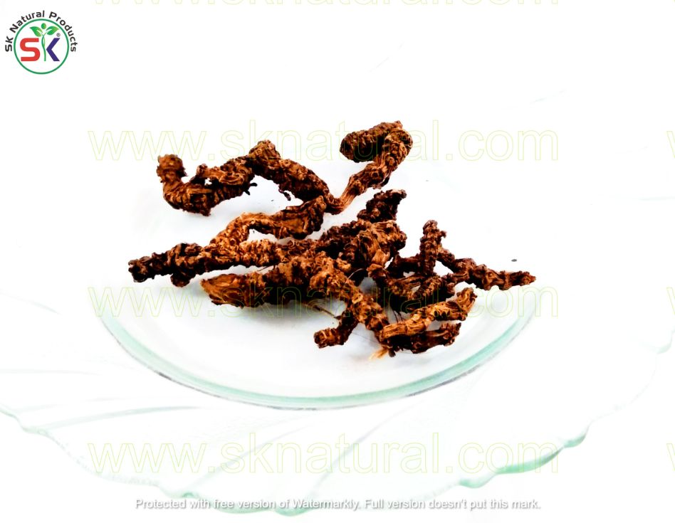 Asaroun اسارون