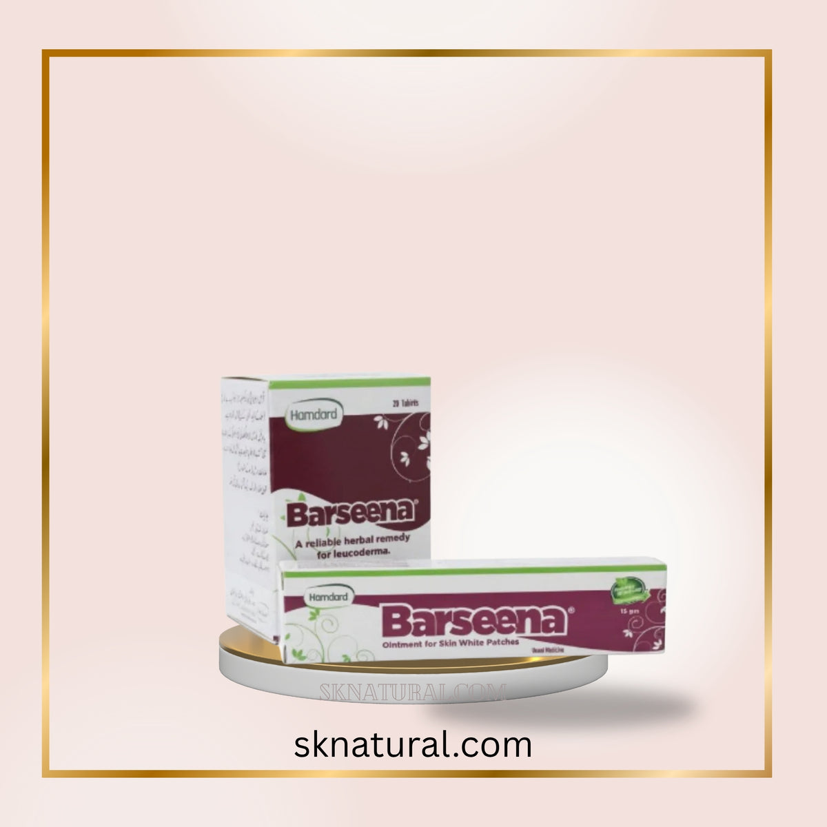 BARSEENA MARHAM 15gm برسینا مرحم | HAMDARD