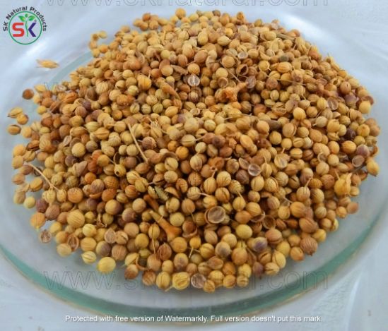 Dhania Khushk (100gm) دھنیا خشک
