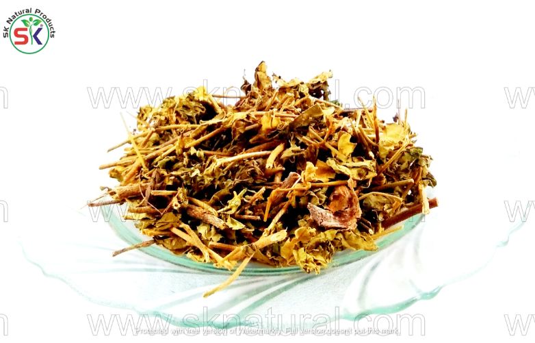 Gaozaban | (100GM) | گاؤزبان
