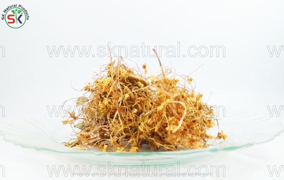Gul Banafsha (20GM) گل بنفشہ
