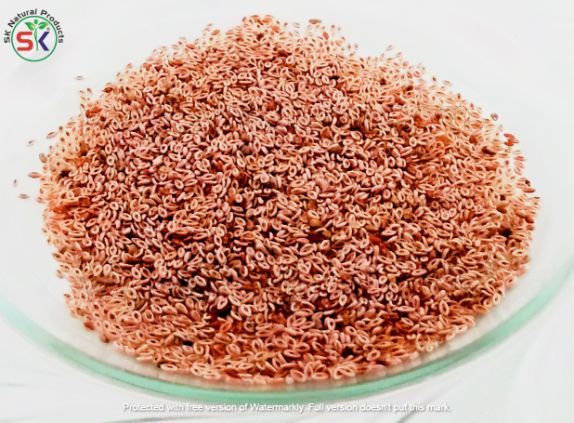 Ispaghol Sabat (100gm) اسپغول ثابت