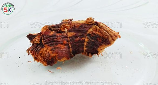 Jardpan / Kholanjan (100gm) جڑپان