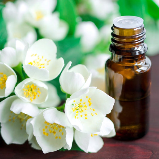 JASMINE OIL (60ml) روغن چمبیلی