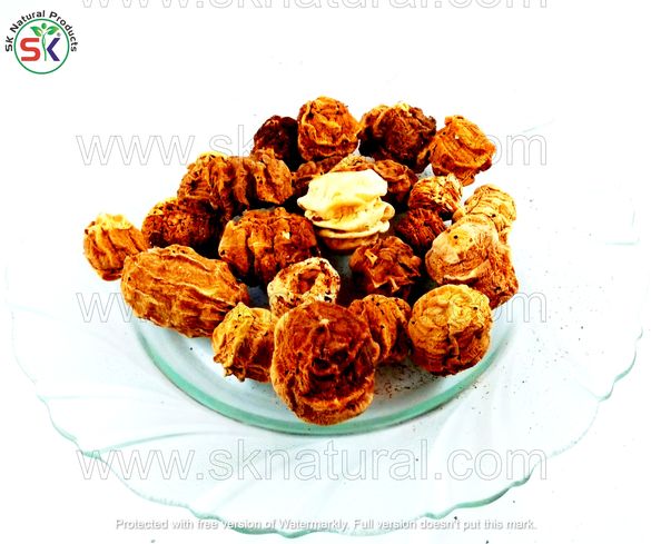 Kachri India / Chibard Kachri کچری انڈیا