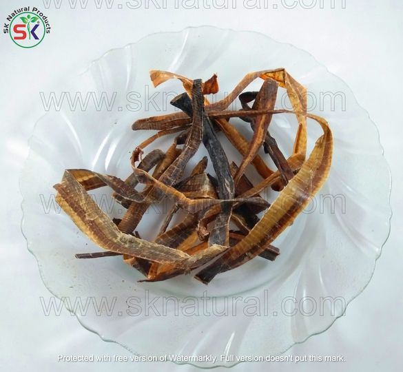 Kharateen خراطین