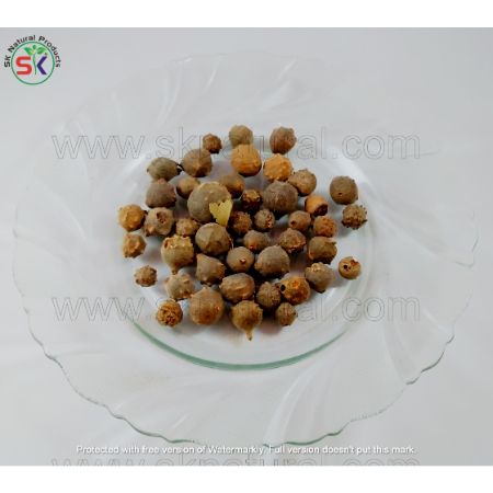 Mazo Sabz | (100gm) | مازو سبز
