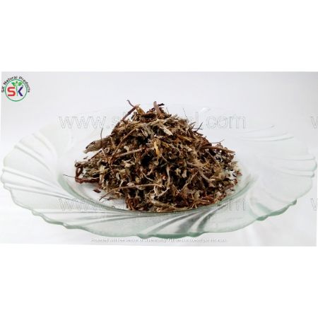 Podina Khushk | پودینہ جنگلی
