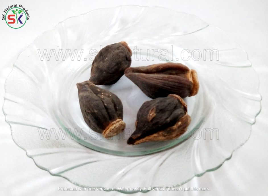 Salab Dana (100gm) ثعلب دانہ