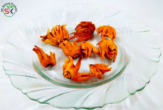 Salab Panja (20gm) ثعلب پنجہ