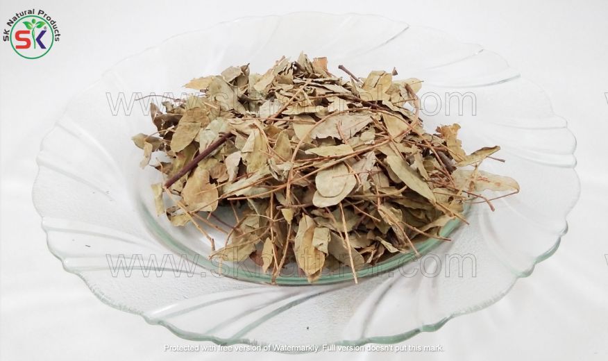 Sana Makki | (160gm) | سناءمکی
