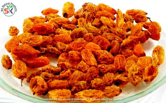 Sogi سوگی