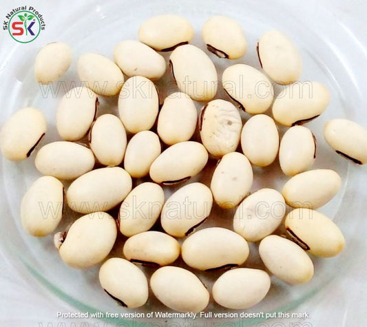 Tukhm e Konch (100gm)  تخم کونچ