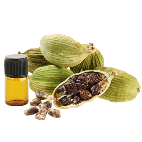 CARDAMOM OIL (15ml) روغن الائچی