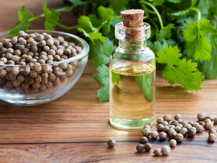 CORIANDER SEED OIL (60ml) روغن دھنیا
