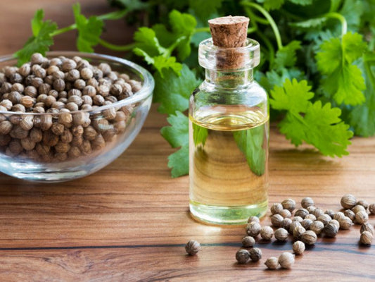 CORIANDER SEED OIL (60ml) روغن دھنیا