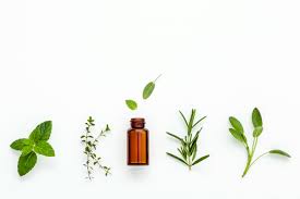 GREEN TEA OIL (15ml) روغن کیمیلیا سنینسس