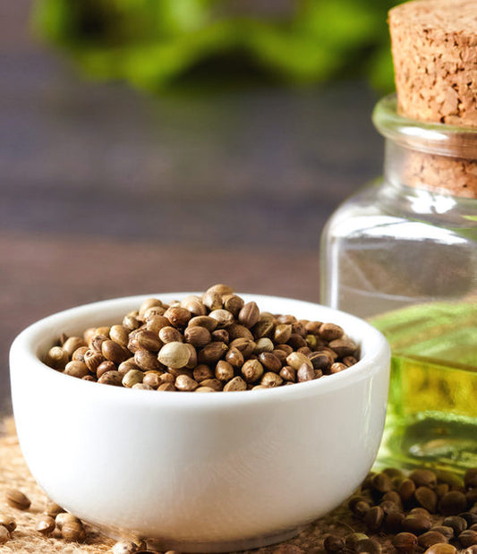 HEMPSEED OIL (15ml) روغن بھنگ